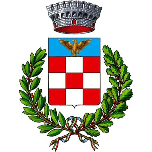 Comune di Terno dIsola logo