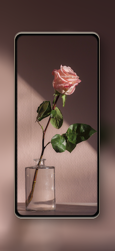 Android application Aesthetic Wallpaper HD 4k screenshort