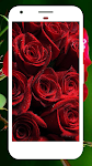 screenshot of Rose Wallpapers