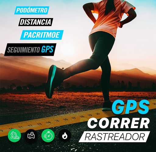 Vista previa de la aplicación