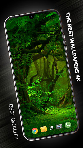 Android application Trees Wallpapers in 4K screenshort