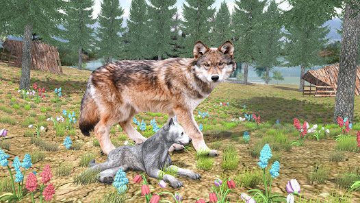 Real Wolf Simulator Wolf Games 1.0 APK + Мод (Unlimited money) за Android