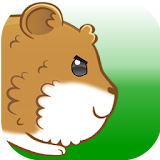 Speed Hamster icon