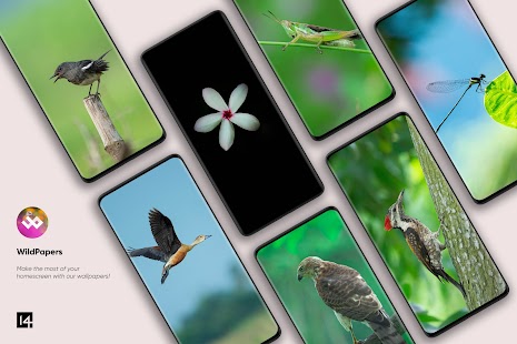 WildPapers - Wildlife Photos Captura de tela