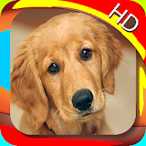 Animal Sounds for kids icon