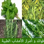 Cover Image of 下载 فوائد الأعشاب الطبية 1.0 APK