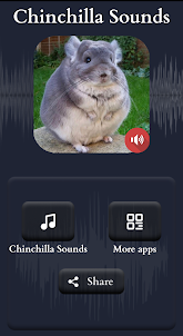 Chinchilla Sounds