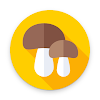 AI Mushroom Identifier