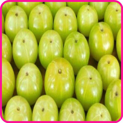 Aonla(Indian Gooseberry)  Prod  Icon