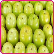 Aonla(Indian Gooseberry)  Products(in English)