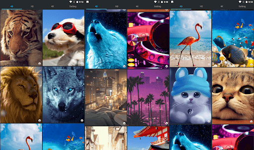 Android application Wallpaper 4K screenshort