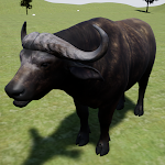 African Buffalo Simulator