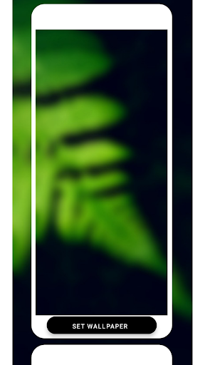 Premium wallpaper Screen 2