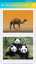 Hintergrundbilder Tiere Hd Apps Bei Google Play