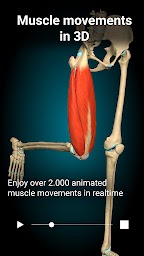 Anatomy Learning - 3D Anatomy