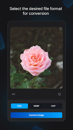 Convertfiles.ai Screen 3