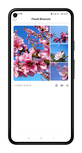 XtPlant Screen 2