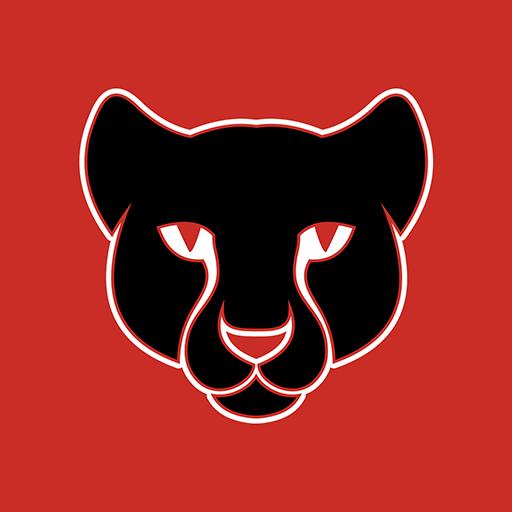 We Are Sunderland logo