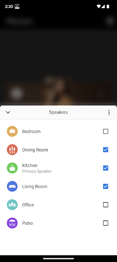 Pioneer Music Control App Screen 3