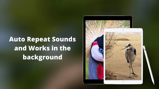 Crane Bird Sounds Screen 2
