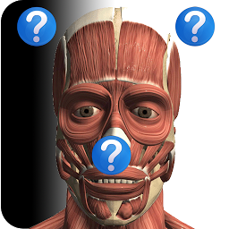 Slika ikone Anatomy Quiz