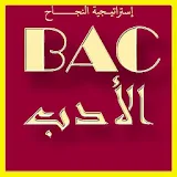 دروس و ملخصات الأدب العربي BAC 2019 icon