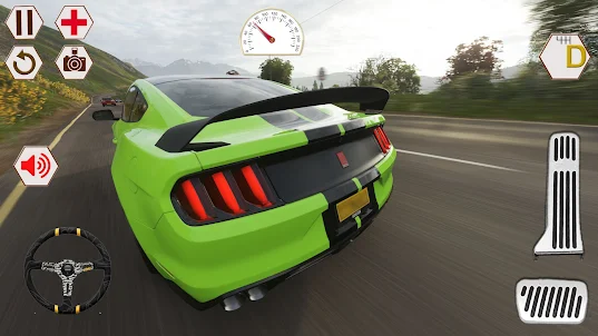 Race Ford Shelby GT Simulator