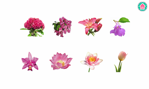 PicDic - Plants Lite