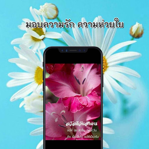 สวัสดีตอนเช้า ตามวัน