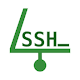 SSH/SFTP Server - Terminal
