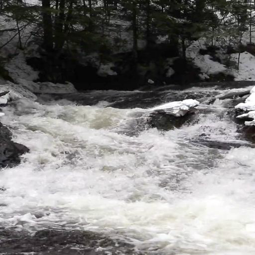 River Live Wallpaper Pro logo