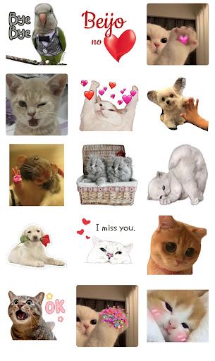 Android application Animal Reaction WAStickers screenshort