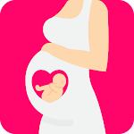 Pregnancy Calculator & Tracker