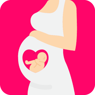 Pregnancy Calculator: Due Date apk
