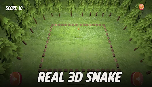 Snake Game 3D Fun