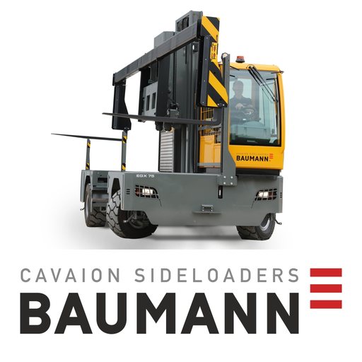 Baumann Support logo