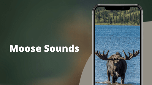 Android application Moose Sounds screenshort