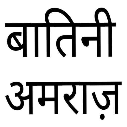 Islamic Books in Hindi offline logo