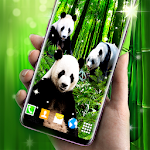 Cover Image of Download Panda Parallax Wallpapers 🐼 HD Live Wallpaper 6.6.0 APK
