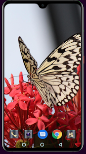 Butterfly Wallpaper 4K Latest 1.013 APK screenshots 14