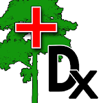 Cover Image of Baixar Forest Tree Diagnosis 1.0.0 APK