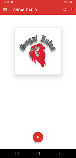 SNGAL RADIO Screen 2