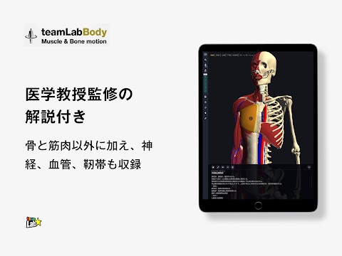 3D運動解剖学 teamLabBodyのおすすめ画像4