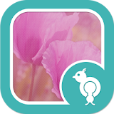 Go Locker Pink Spring Flowers icon