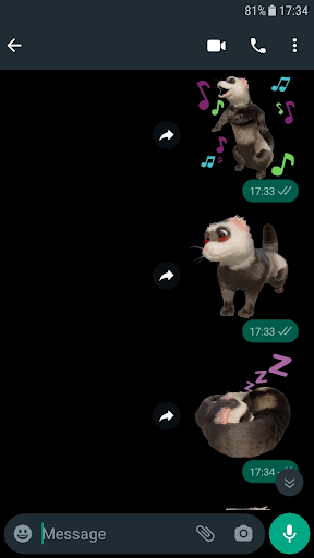Ferret Stickers WAStickerApps Screen 2