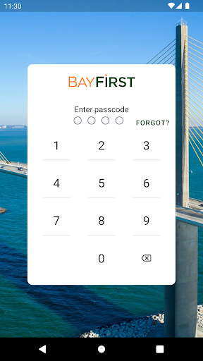 BayFirst National Bank Screenshot 2 - AppWisp.com