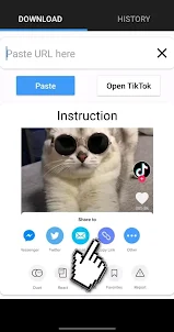 TikTok Downloader : No logo