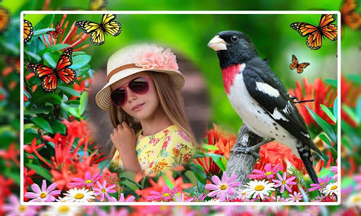 Android application Birds Photo Frames screenshort