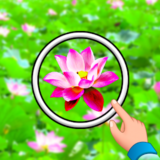 Find in out - hidden flowers apk