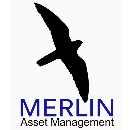Merlin Portal logo